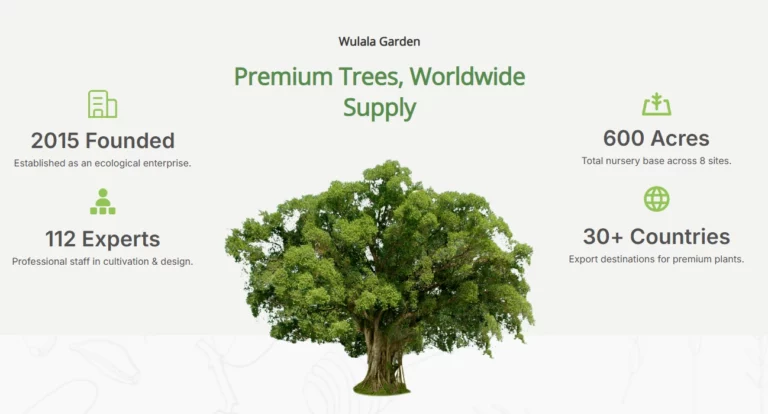 Bonsai Plant Supplier2